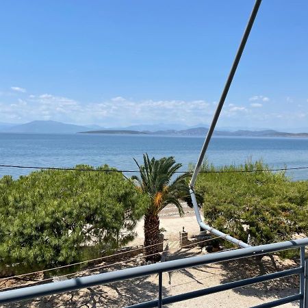 Apartmán Finikas Íria Exteriér fotografie