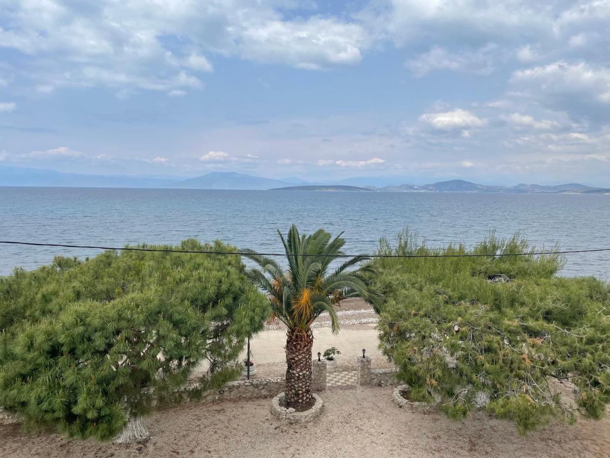 Apartmán Finikas Íria Exteriér fotografie