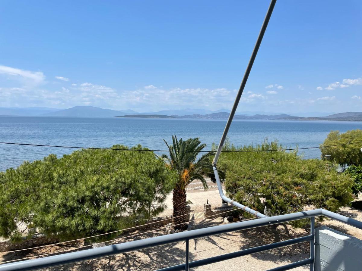 Apartmán Finikas Íria Exteriér fotografie